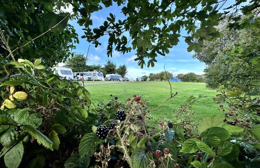 Warcombe Farm Camping Park Mortehoe Woolacombe North Devon 