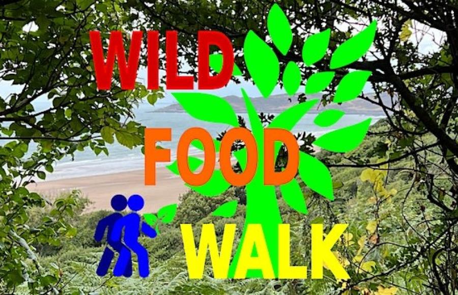 Wild Food Walk October 2023 Woolacombe 