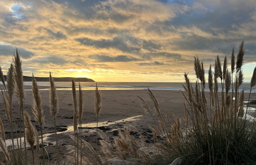 Woolacombe Tourist Information Centre Christmas Opening Hours 2023