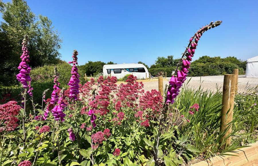 Warcombe Farm Camping Park Mortehoe Woolacombe North Devon 