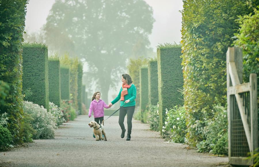 Paws on Paths at RHS Rosemoor Dog Trial 2025 