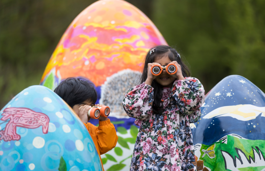 RHS Rosemoor Easter Egg-nigma Code 2025