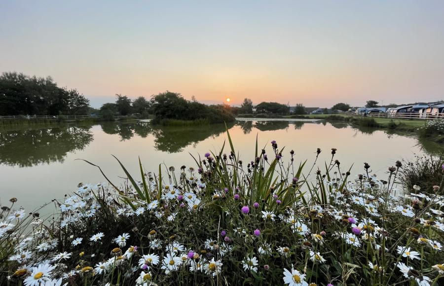 Warcombe Farm Camping Park Mortehoe Woolacombe North Devon 