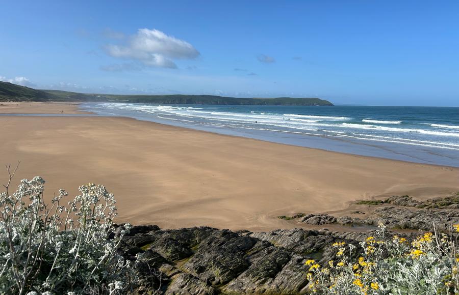 Celebrate Devon Day in Woolacombe & Mortehoe 